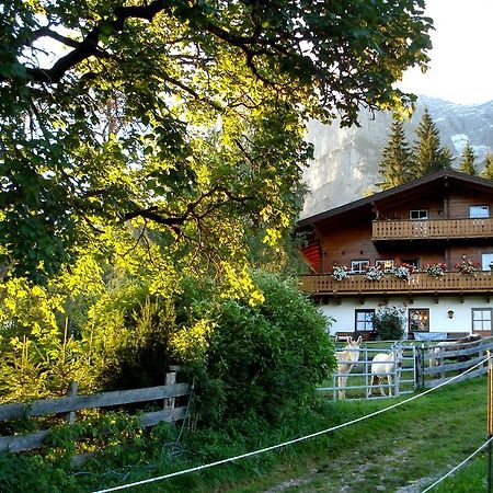 Haus Berghild Apartment Ramsau am Dachstein Bagian luar foto
